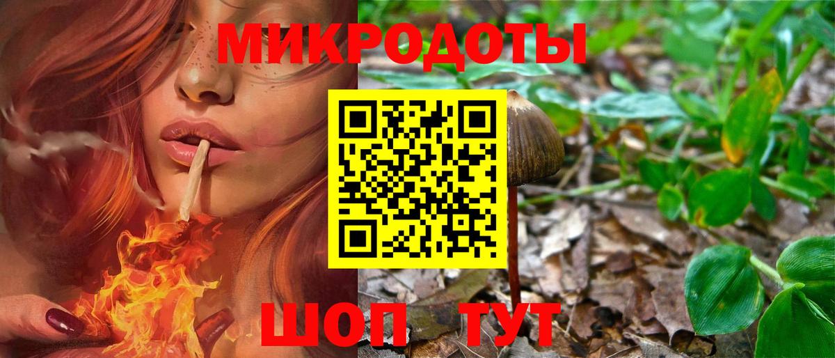 Галлюциногенные грибы MAGIC MUSHROOMS Бор