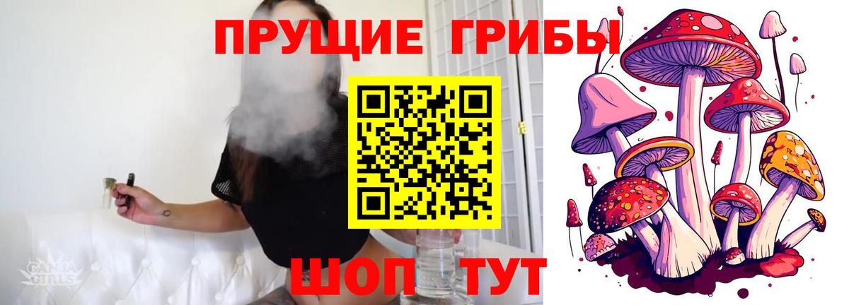 как найти   Вход с VPN  Бор  Галлюциногенные грибы ЛСД  Галлюциногенные грибы мухоморы 
